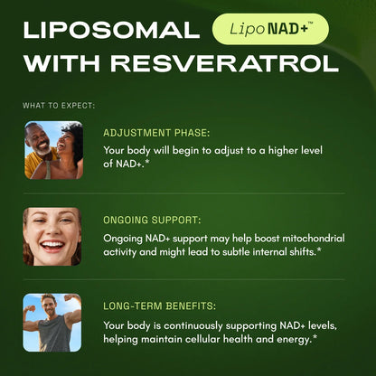 NMN+ Powder - NAD Supplement 100g