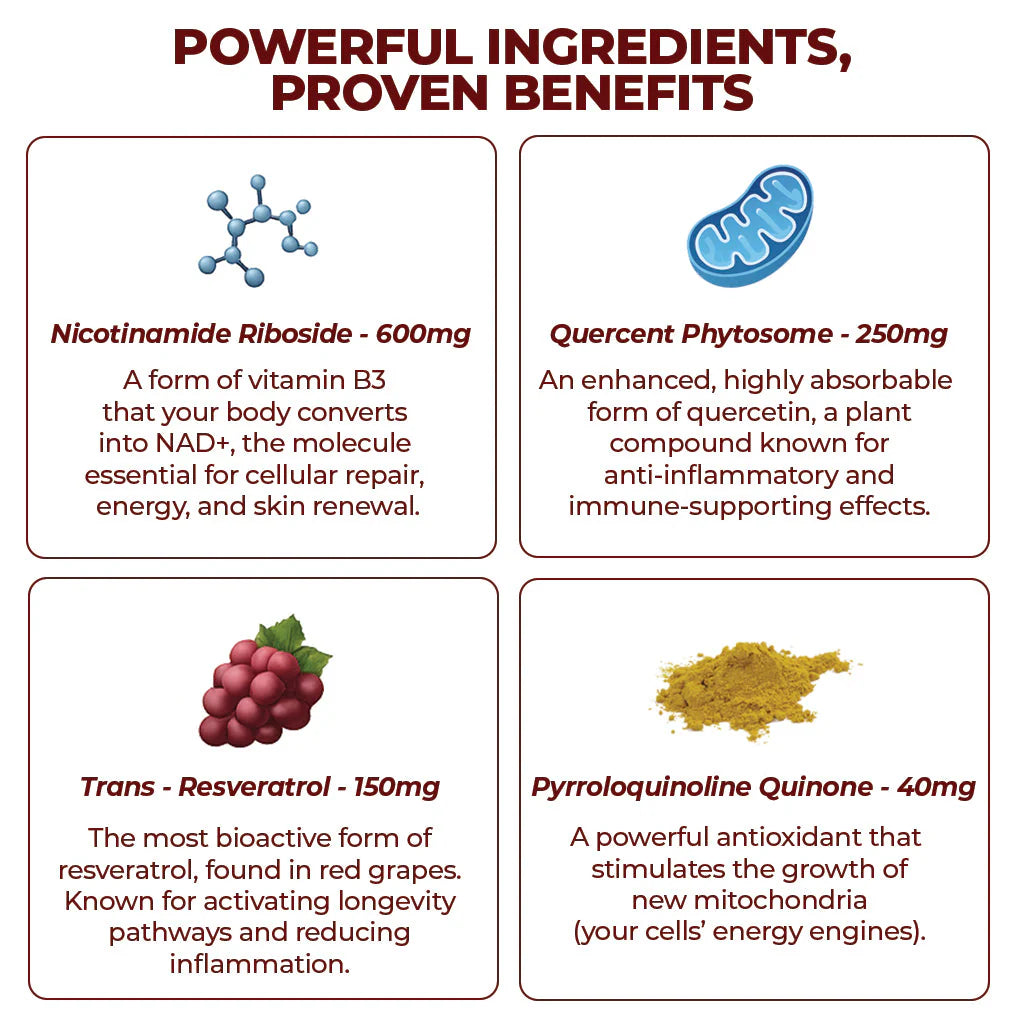 Bebida con sabor a frutos rojos ZOOONE NR1000-NAD+ para combatir el envejecimiento cutáneo, aumentar la energía y la concentración