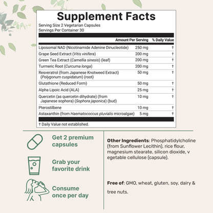 Liposomal NAD+ -  Ultimate 1000mg, 60 Veggie Capsules